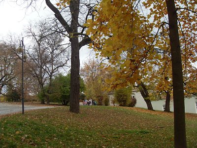 I děti se radují z podzimu