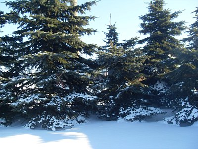 A bílá pohádka je tou nejkrásnější a nejčistší  ♥