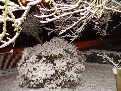 Také zde objevuji romantiku...