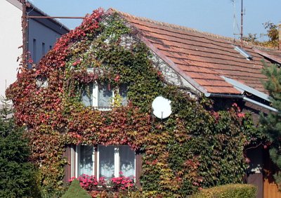 Malé náměstíčko zdobí krásný dům v kožichu
