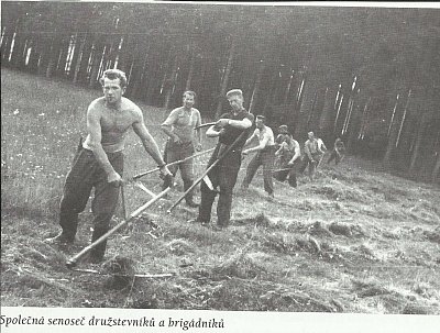 Mnoho a mnoho let se veliké množství luk kosilo jen takovým způsobem