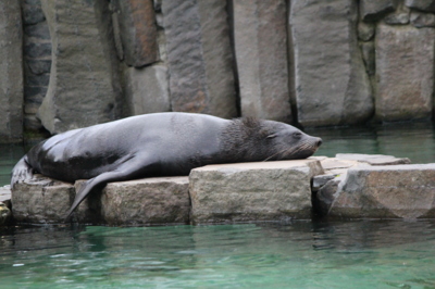 "Prosím nerušit, dnes mi už padla..."