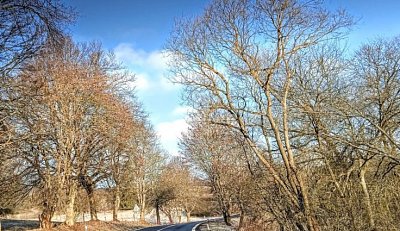 Předjarní příroda