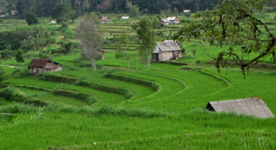 Co bude dnes k večeři?