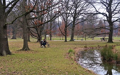 Stromovka v lednu