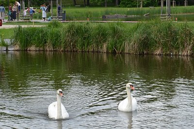 stromovka-029.jpg