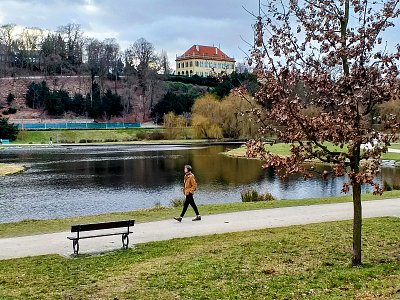 Stromovka v únoru