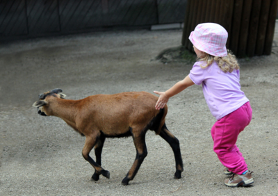 "Šup, šup, ať stihnem tu dnešní oslavu..."