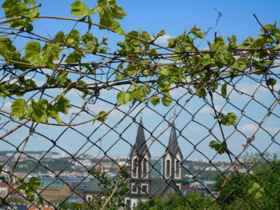 Pohled na Karlín a Prosek