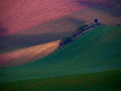 Když v hluboké noci svítá...