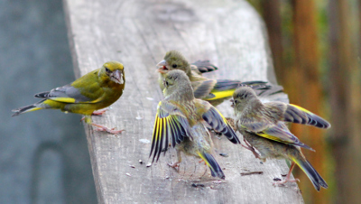 Tomu dala, tomu nic...