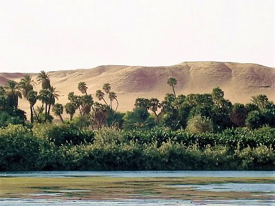 typický obrázek krajiny podél Nilu