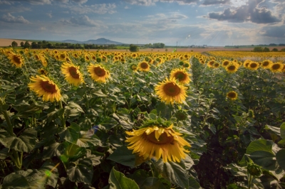 Hledám šťastné místo