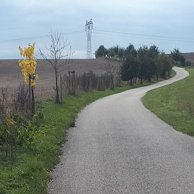 U Novosedel nad Nežárkou na podzim