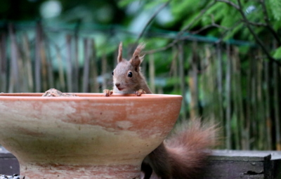 Co koukáte, mám žízeň...*