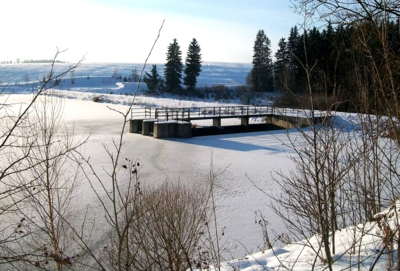 Zima u Zámeckého rybníka