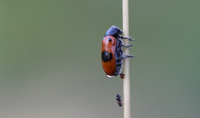 To bych neriskoval...