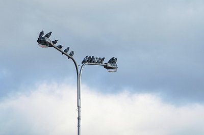 Pospěšte, poslední volná místa!