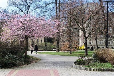 I chodník ladí ...