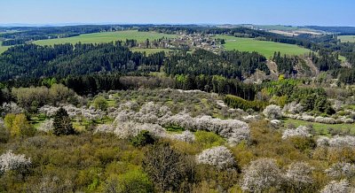 vitani-jara-kokasice-21.4.2019-017.jpg