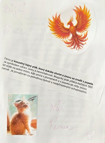 vzpominkova-kniha.jpg