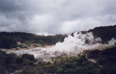 Whakarewarewa Thermal Reserve