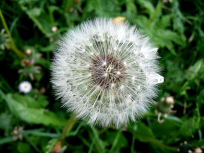 Zafoukáš a jsem pryč