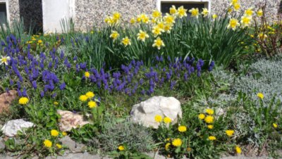 záhon před paneláky