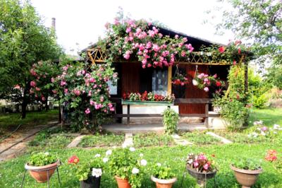 Zahrádka u kamarádky