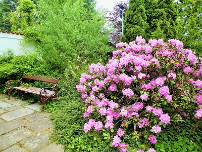 Schovaná v zátiší