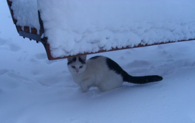 Brrr....to to studí