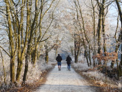 Zimní procházka s otužilcem
