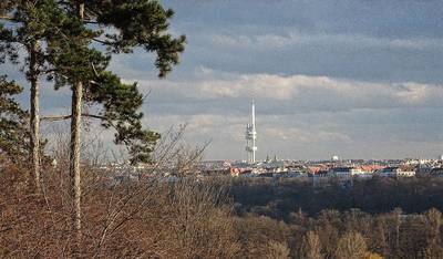 zizkov-1.jpg