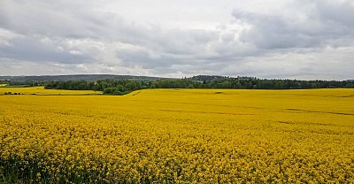 Krajina kolem Žlutic