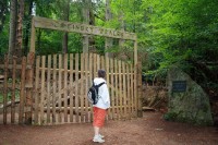 Znáte nejstarší rezervace ve střední 
Evropě? Žofínský prales a Hojná Voda