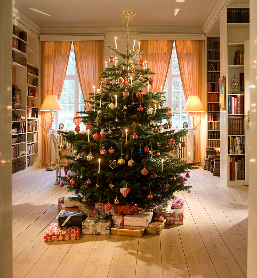 web_Vánoční strom.jpg