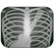 zebra-uku.jpg